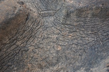 old rubber texture