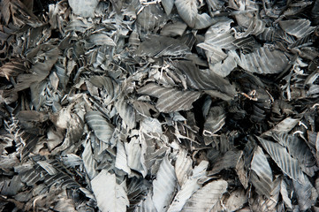 fire burning dry leaf and black ashes