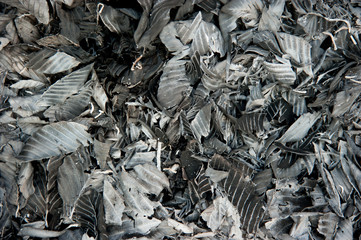 fire burning dry leaf and black ashes