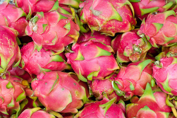 Obraz na płótnie Canvas Red dragon fruit in bulk