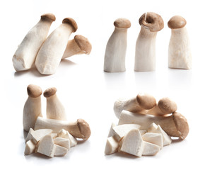 King Oyster mushroom (Eringi) isolated on white 