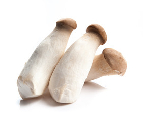 King Oyster mushroom (Eringi) isolated on white 