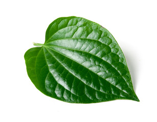 Green betel leaf heart shape isolated on white  - obrazy, fototapety, plakaty