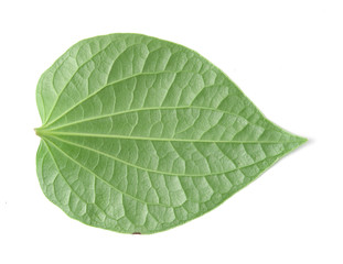 Green betel leaf heart shape isolated on white 