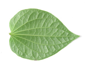 Obraz premium Green betel leaf heart shape isolated on white 