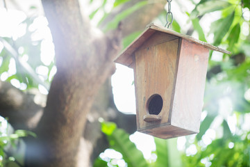 bird house on the tree