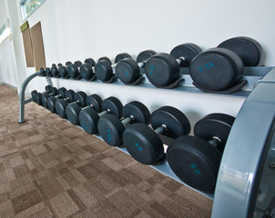 Fototapeta na wymiar Different sizes and weights dumbbells on stand in modern gym