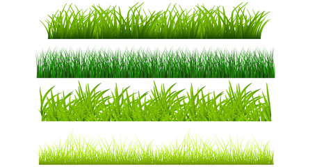 Grass vector set