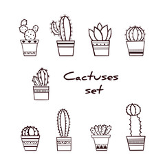 Set of Hand Drawn Cactuses and Succulents in Pots / Cactus Isolated on White Background
