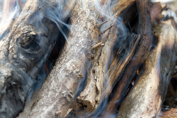 ignite a fire of twigs