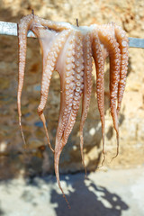Octopus drying in the sun, Crete, Greece