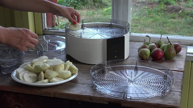 woman hands put cut pear pieces in fruit dryer machine dish. Closeup. 4K