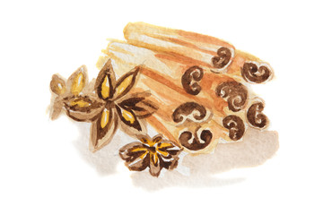Watercolor anise and cinnamon. Isolated spice on white background. Seasoning for meal or dessert.