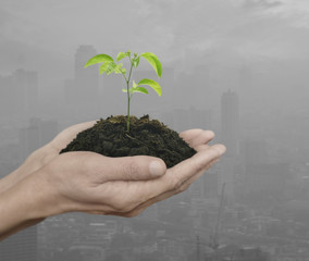 Fototapeta na wymiar Hands holding a fresh small plant with soil over pollution city,