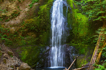 Fototapeta na wymiar Waterfall in Vancouver island