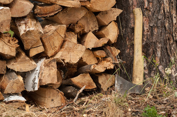 an ax and chopped wood
