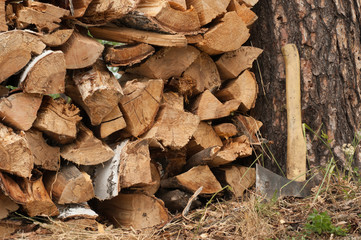 an ax and chopped wood