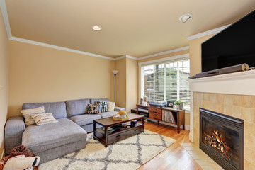 Small yet cozy family room with corner fireplace and grey sofa