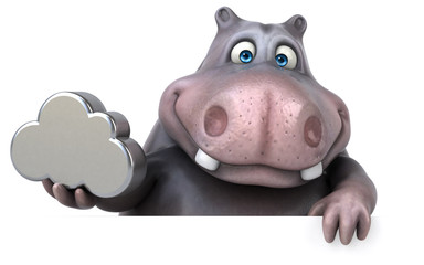 Hippo