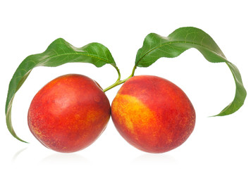 Fresh red nectarines