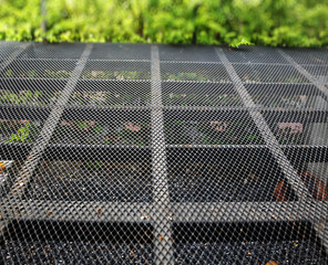 Expanded metal floor in garden.Very shallow depth of field composition.