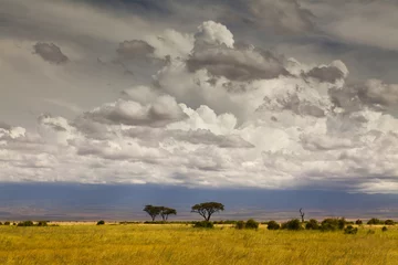 Beautiful African landscape in the background of the cloudy sky.