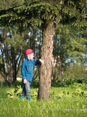 Little boy in a cap and a denim dress standing on the grass leaning on the pine on blurred background forest