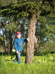 Little boy in a cap and a denim dress standing on the grass leaning on the pine on blurred background forest