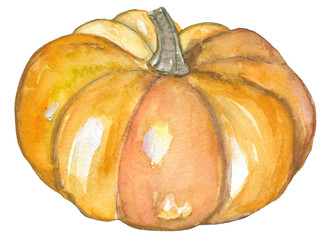 Pumpkin. Watercolor handmade. Autumn motive