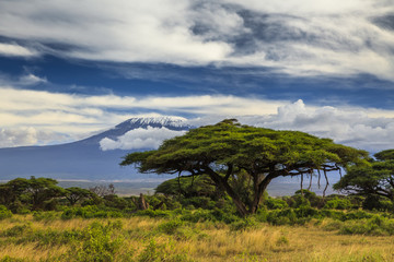 Beautiful African landscape on the background of Kilimanjaro. Ke