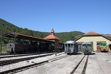 Fototapeta na wymiar railway station with steam and diesel locomotive and old wagons