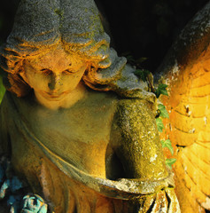 Fototapeta premium angel
