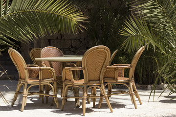 Coffee table with palm tree in Tenerife