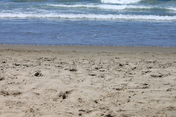 beautiful seascape with fresh cold clear water in summer, selective focus
