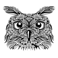 Owl vector illustration