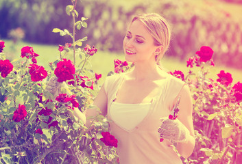 gay young woman working with bush roses with horticultural tools