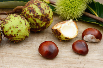 chestnuts lying on wood