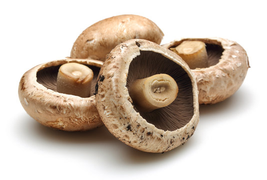 Champignon mushrooms 