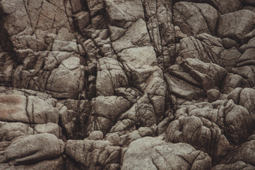 Stone texture