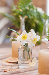 Daffodils in a bottle