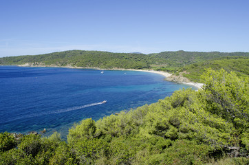 Fototapeta na wymiar Cap taillat beaches, near to Saint-tropez, french riviera