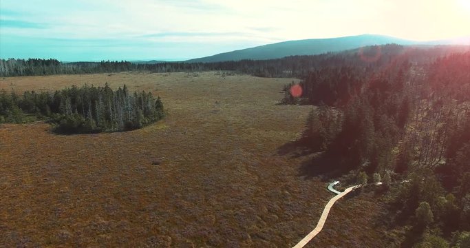 Harz Torfmoor Brocken