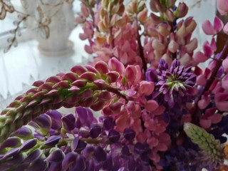 Beautiful bouquet of lupin flowers/Beautiful bouquet of lupin flowers
