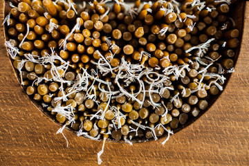 candles in &omicron;rthodox church