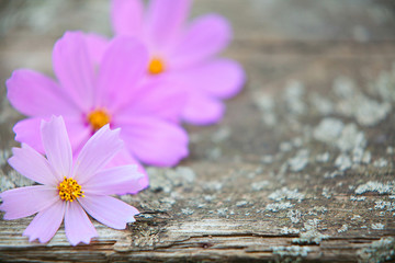 wooden background with  flowers