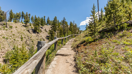 Fototapeta na wymiar A narrow path with a wooden handrail leaves high up in the mountains. Amazing summer landscape in the mountains. Path through a green fir forest. Wraith Falls, Yellowstone National Park, Wyoming