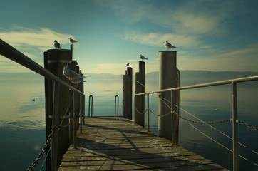 Eine Landungsbrücke am Ufer des Bodensees