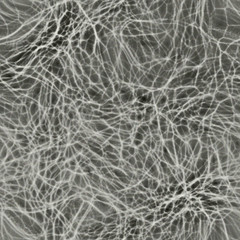 Human neurons in brain seamless 3d rendering