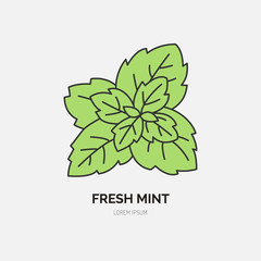 Modern vector flat icon of mint leaves. Fresh food logo. Flat symbol for peppermint gum. Freshness design element for site, mint emblem. Organic products business logotype, mint leaf illustration.