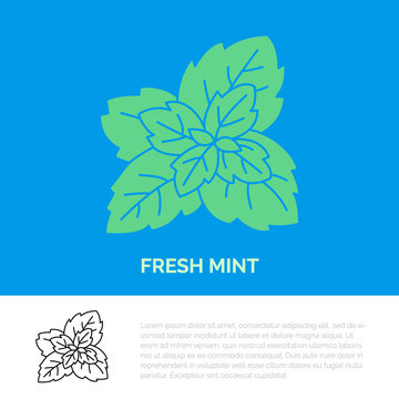 Modern vector flat icon of mint leaves. Fresh food logo. Flat symbol for peppermint gum. Freshness design element for site, mint emblem. Organic products business logotype, mint leaf illustration.